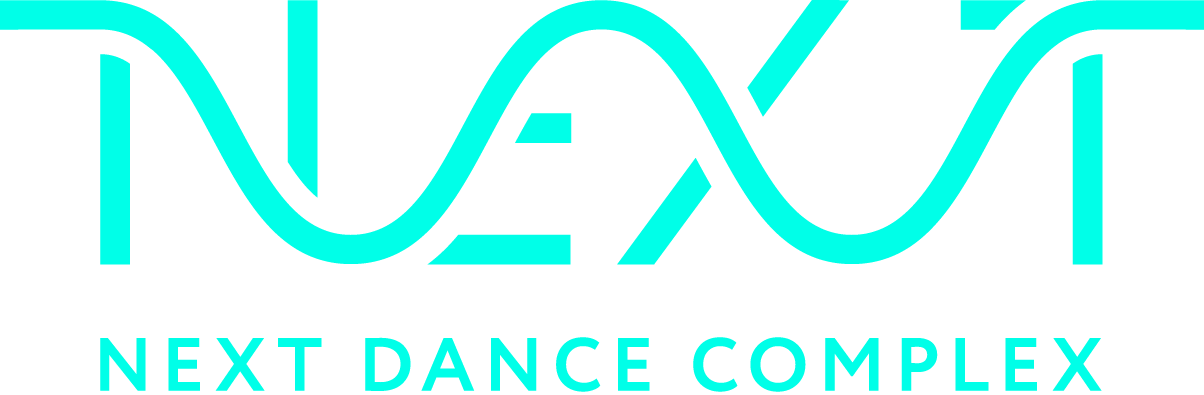 Next logo 2025 01